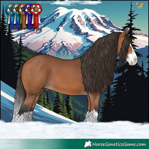 Horse Color:Bay Splash 