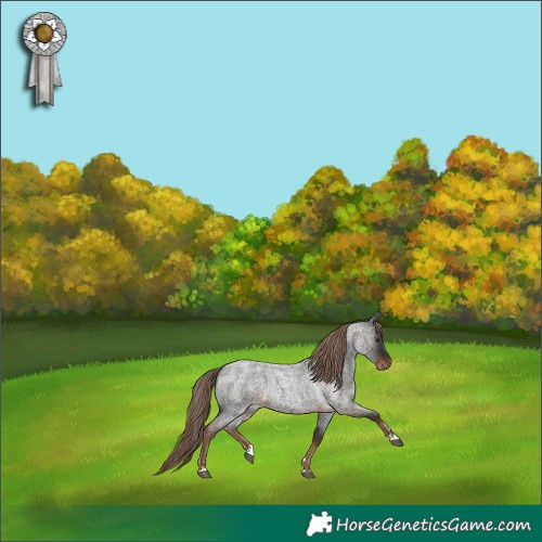 Horse Color:Liver Red Roan 