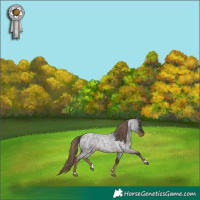 Horse Color:Liver Red Roan 