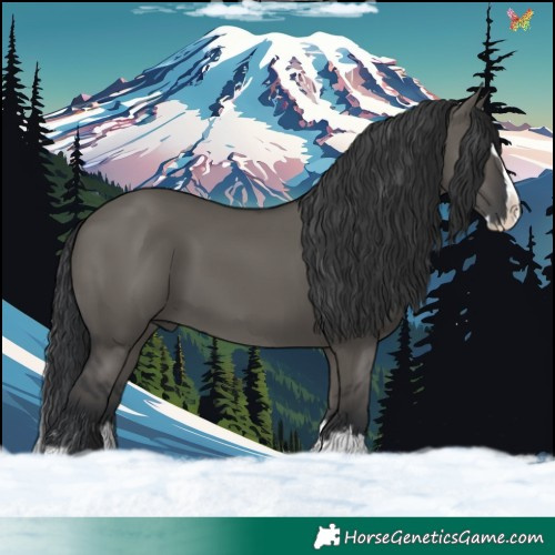 Horse Color:Grullo Splash 