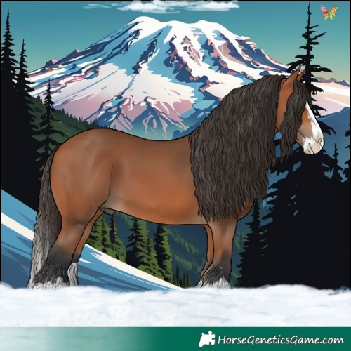 Horse Color:Bay Splash 