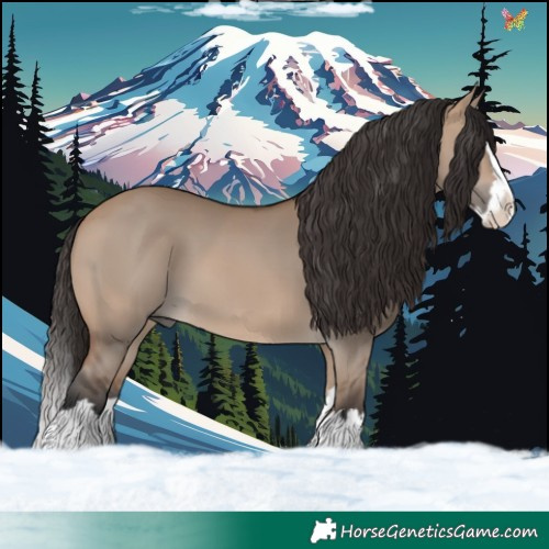 Horse Color:Bay Dun Splash 