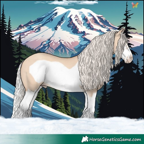 Horse Color:Silver Classic Champagne Dun Splash Frame 