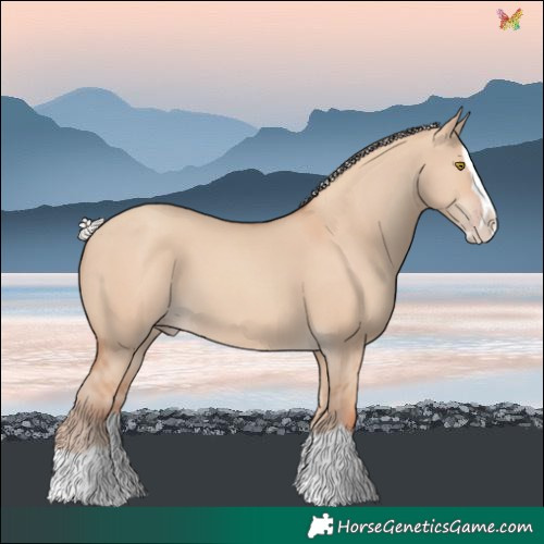 Horse Color:Silver Classic Champagne Dun Splash 