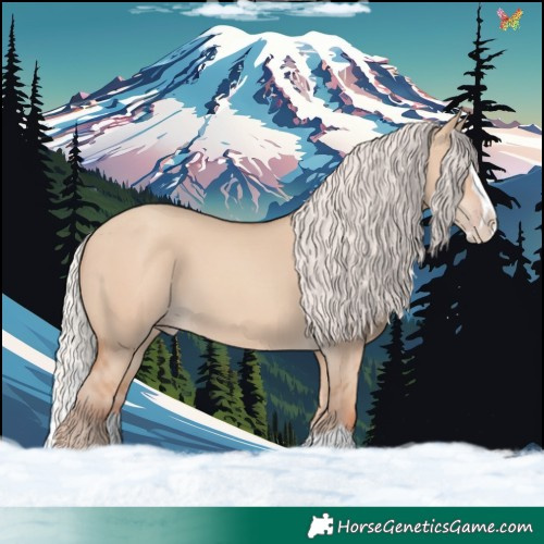 Horse Color:Silver Classic Champagne Dun Splash 