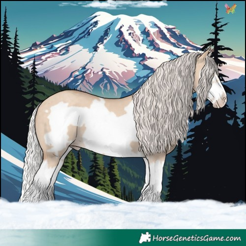 Horse Color:Silver Classic Champagne Dun Splash Frame 