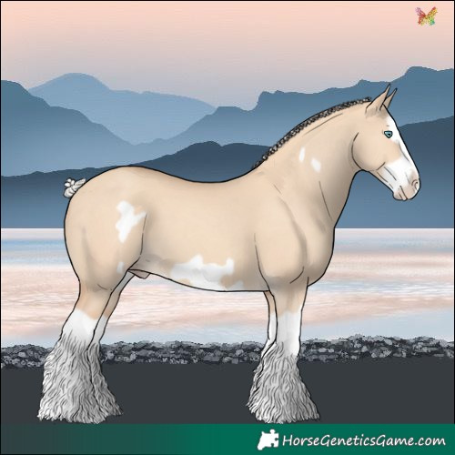 Horse Color:Silver Classic Champagne Dun Splash Frame 