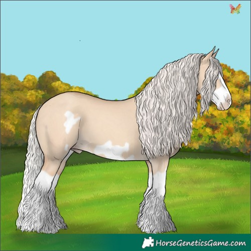 Horse Color:Silver Classic Champagne Dun Splash Frame 