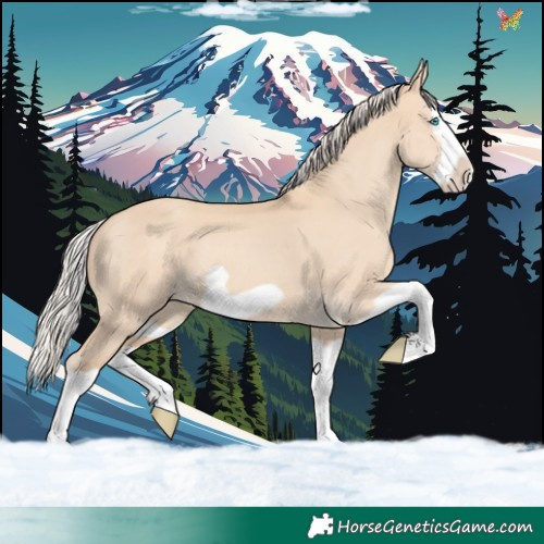 Horse Color:Silver Classic Champagne Dun Splash Frame 