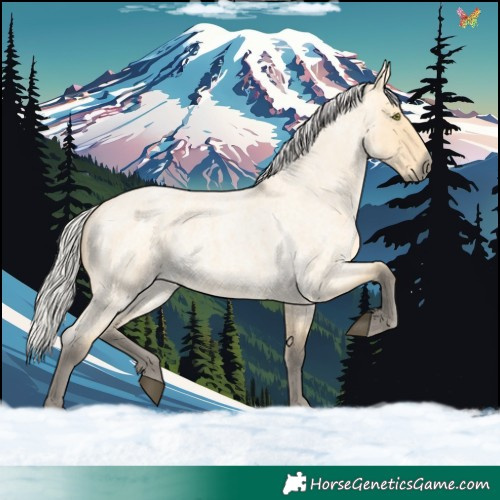 Horse Color:Silver Buckskin Roan Dun