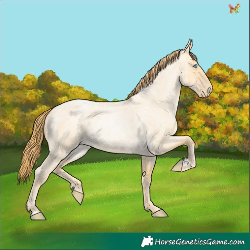 Horse Color:Buckskin Roan Pearl Dun 