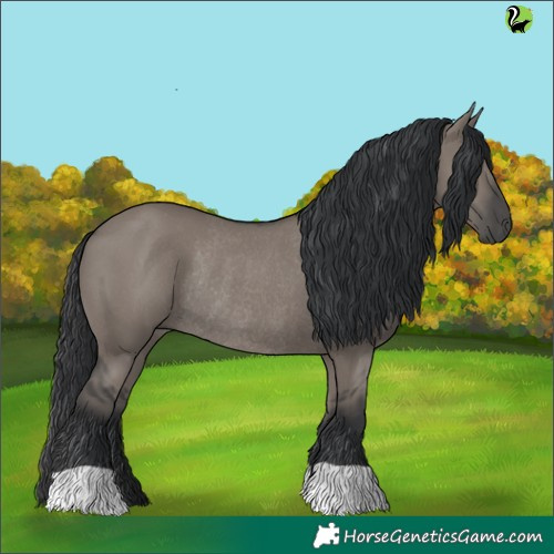 Horse Color:Grullo Rabicano 