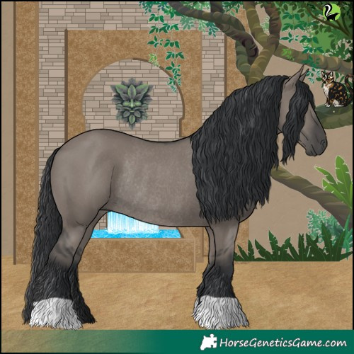 Horse Color:Grullo Rabicano 