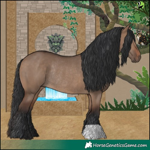 Horse Color:Brown Dun Rabicano 