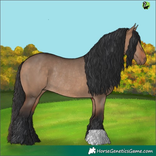 Horse Color:Brown Dun Rabicano 