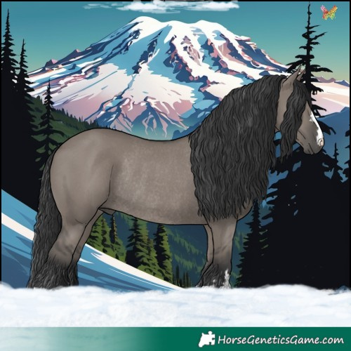 Horse Color:Grullo Rabicano 