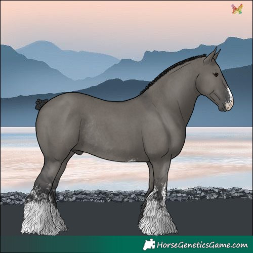 Horse Color:Grullo Sabino Rabicano 
