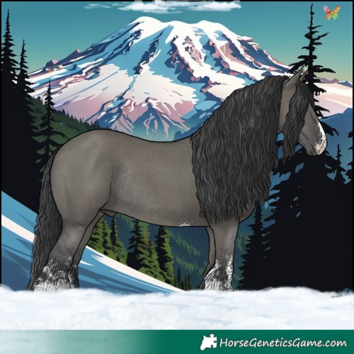 Horse Color:Grullo Sabino Rabicano 