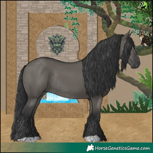 Horse Color:Grullo Rabicano 