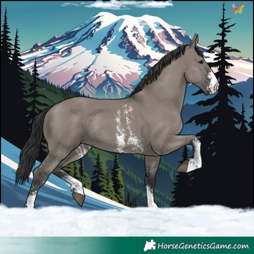 Horse Color:Grullo Sabino Rabicano