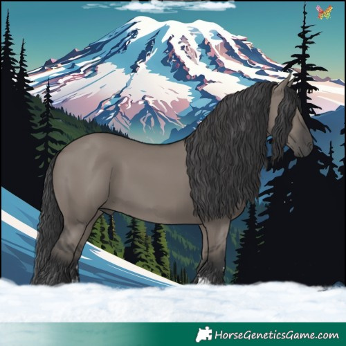 Horse Color:Grullo Sabino Rabicano 