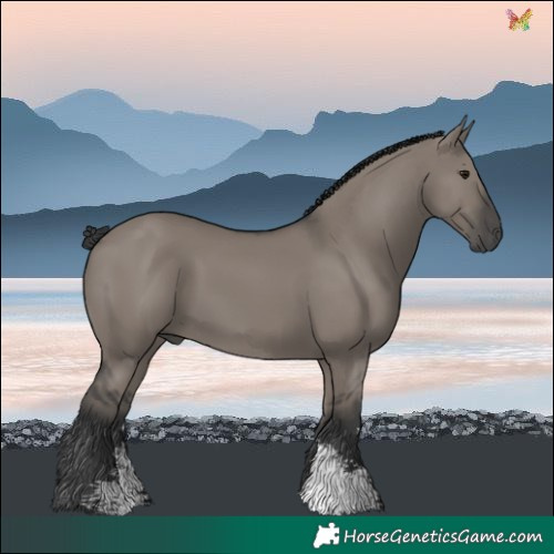 Horse Color:Grullo Sabino Rabicano 