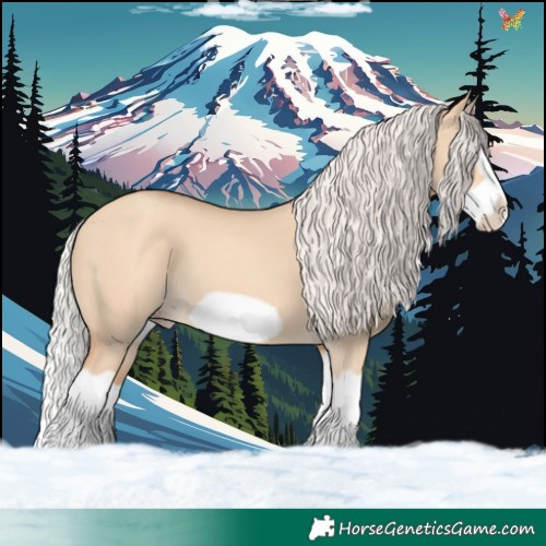 Horse Color:Silver Classic Champagne Dun Splash Frame 