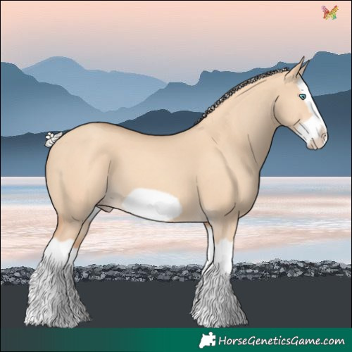 Horse Color:Silver Classic Champagne Dun Splash Frame 