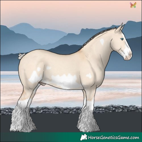Horse Color:Silver Classic Champagne Dun Splash Frame 