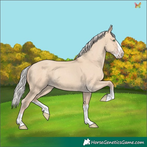 Horse Color:Silver Classic Champagne Dun Splash 