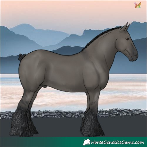 Horse Color:Grullo Rabicano 