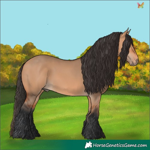 Horse Color:Bay Dun Rabicano 