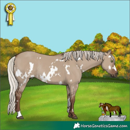 Horse Color:White Spotted Silver Grullo Rabicano 
