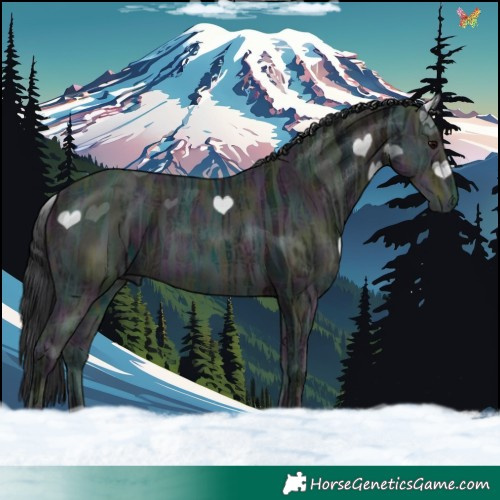 Horse Color:Midnight Brown Ice 