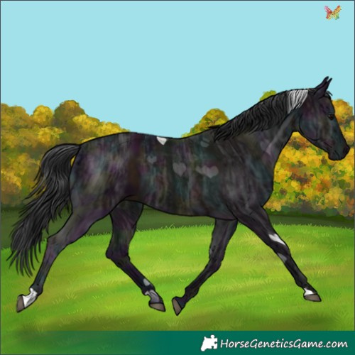 Horse Color:Midnight Brown Ice 