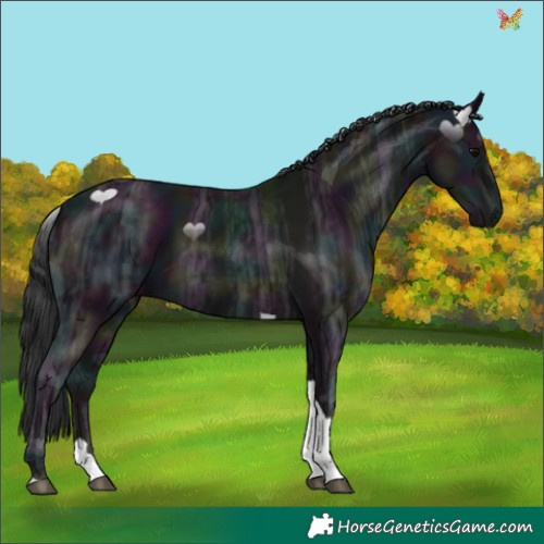 Horse Color:Midnight Brown Ice Tobiano 