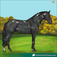 Horse Color:Midnight Brown Ice 