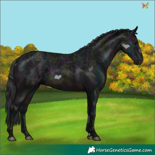 Horse Color:Midnight Brown Ice 