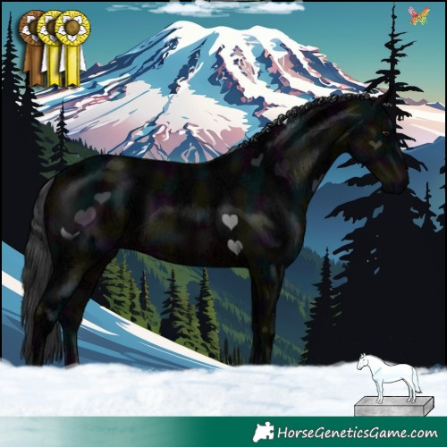 Horse Color:Midnight Brown Ice 