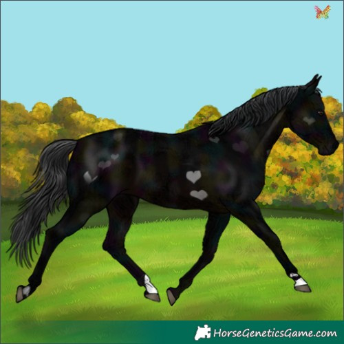 Horse Color:Midnight Brown Ice 