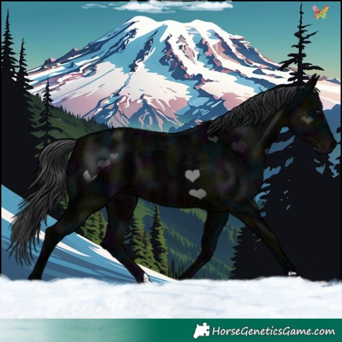 Horse Color:Midnight Brown Ice 