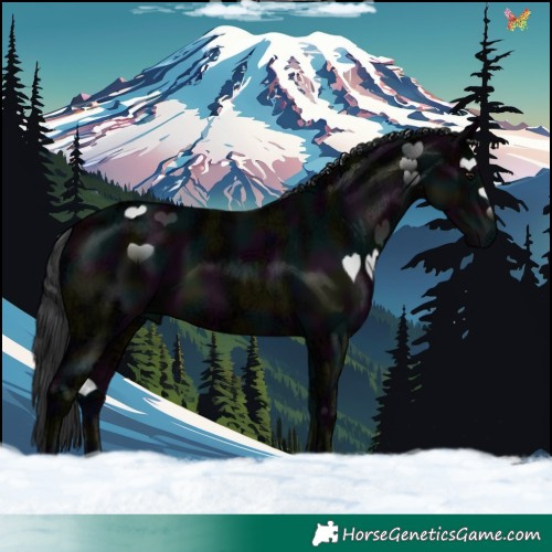 Horse Color:Midnight Brown Ice 