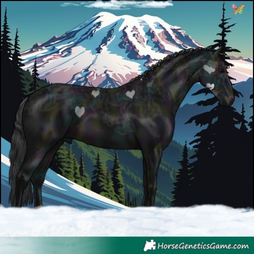 Horse Color:Midnight Brown Ice 
