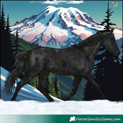Horse Color:Midnight Brown Ice 