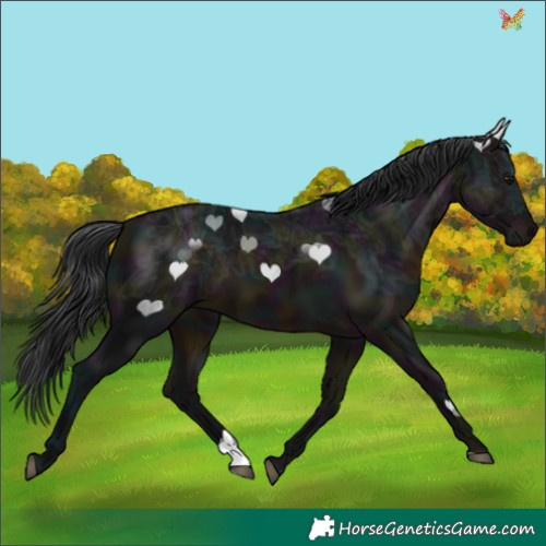 Horse Color:Midnight Brown Ice 