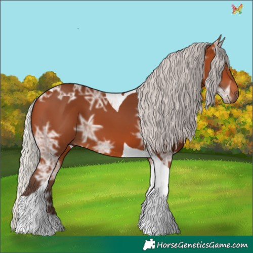 Horse Color:Silver Bay Ice Tobiano 