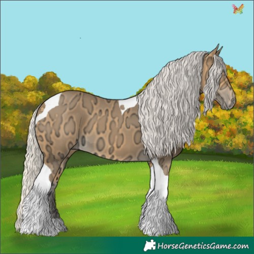 Horse Color:Silver Buckskin Ice Tobiano 