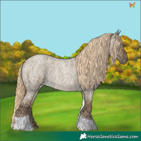 Horse Color:Chocolate Palomino Ice Roan Dun Tobiano 