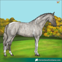 Horse Color:Silver Buckskin Ice Roan Dun Tobiano 
