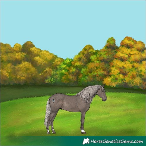 Horse Color:Silver Black 
